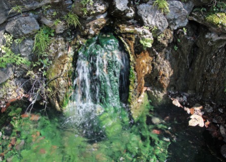 Hot Springs (17)