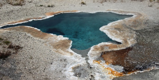Yellowstone thermals (12)