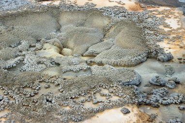 Yellowstone thermals (35)