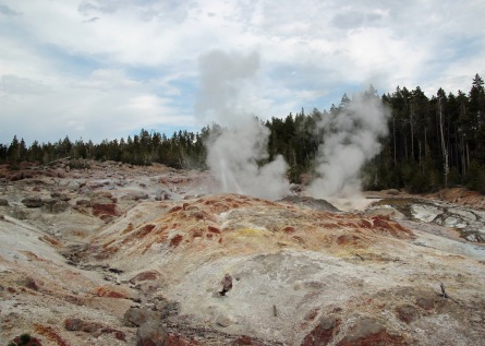 Yellowstone thermals (74)