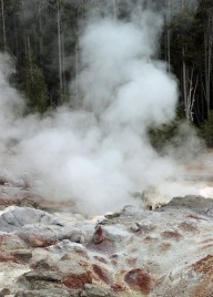 Yellowstone thermals (79)