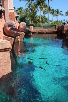 Atlantis Resort (13)