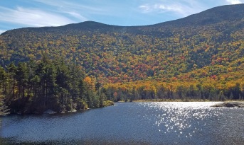 ~New Hampshire Beaver Pond