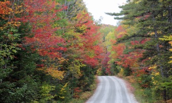 ~Vermont Oct 6 (28)