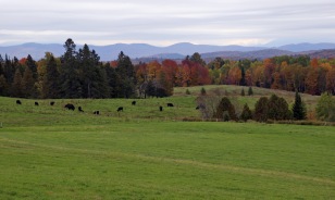 ~Vermont Oct 6 (4)